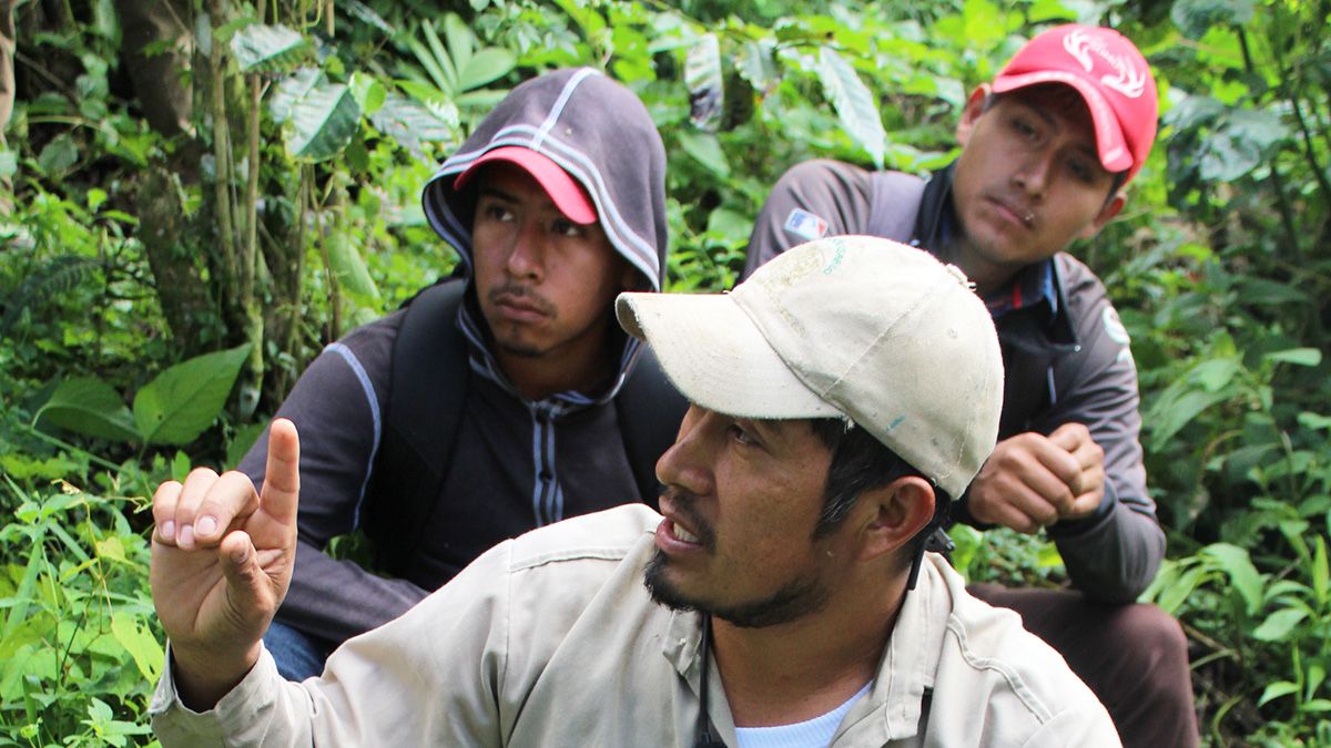 Young people learning about coffee
