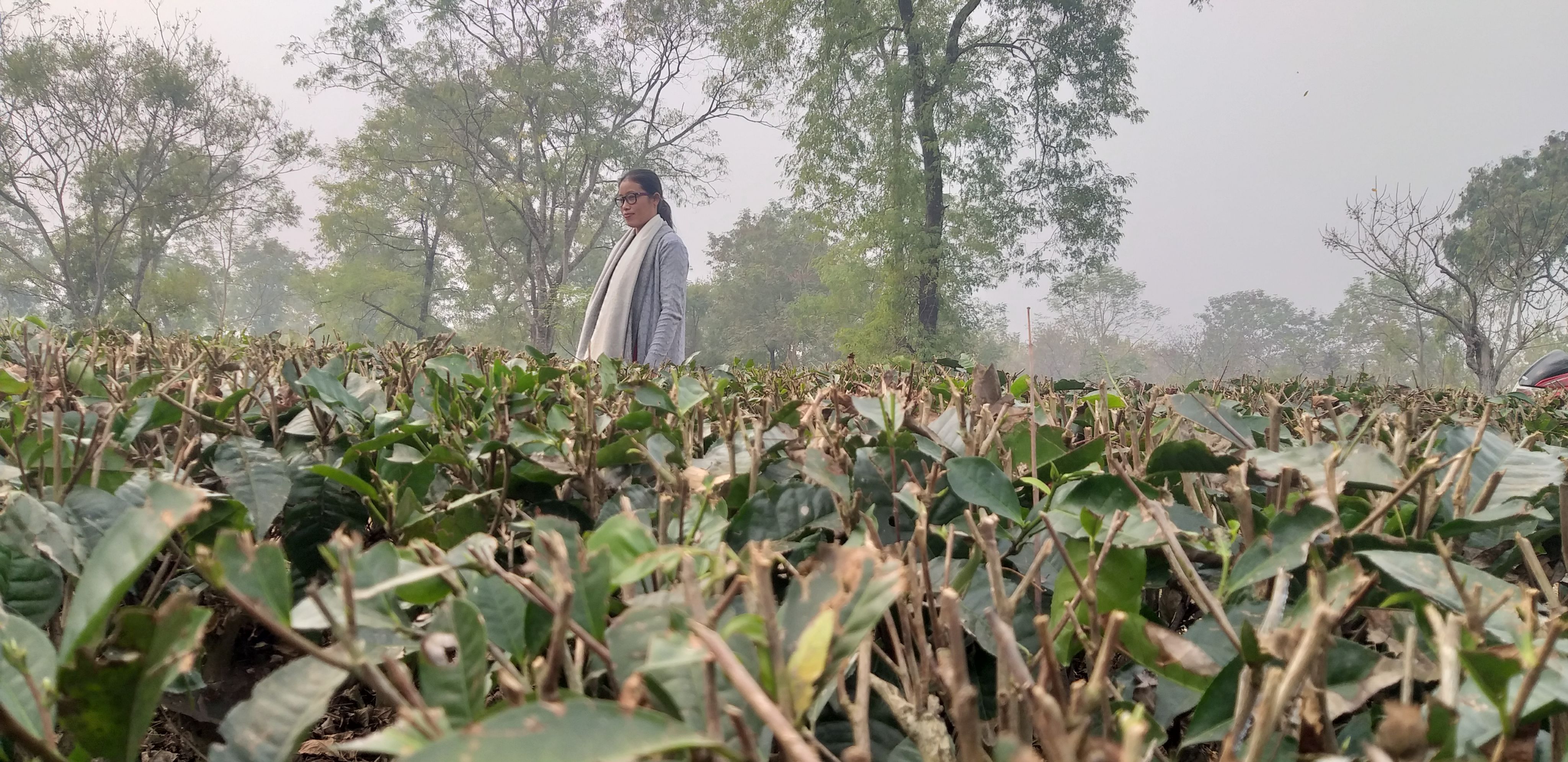Mary Wairimu Oloo, Coffee Farmer in Kenya, working on her farm