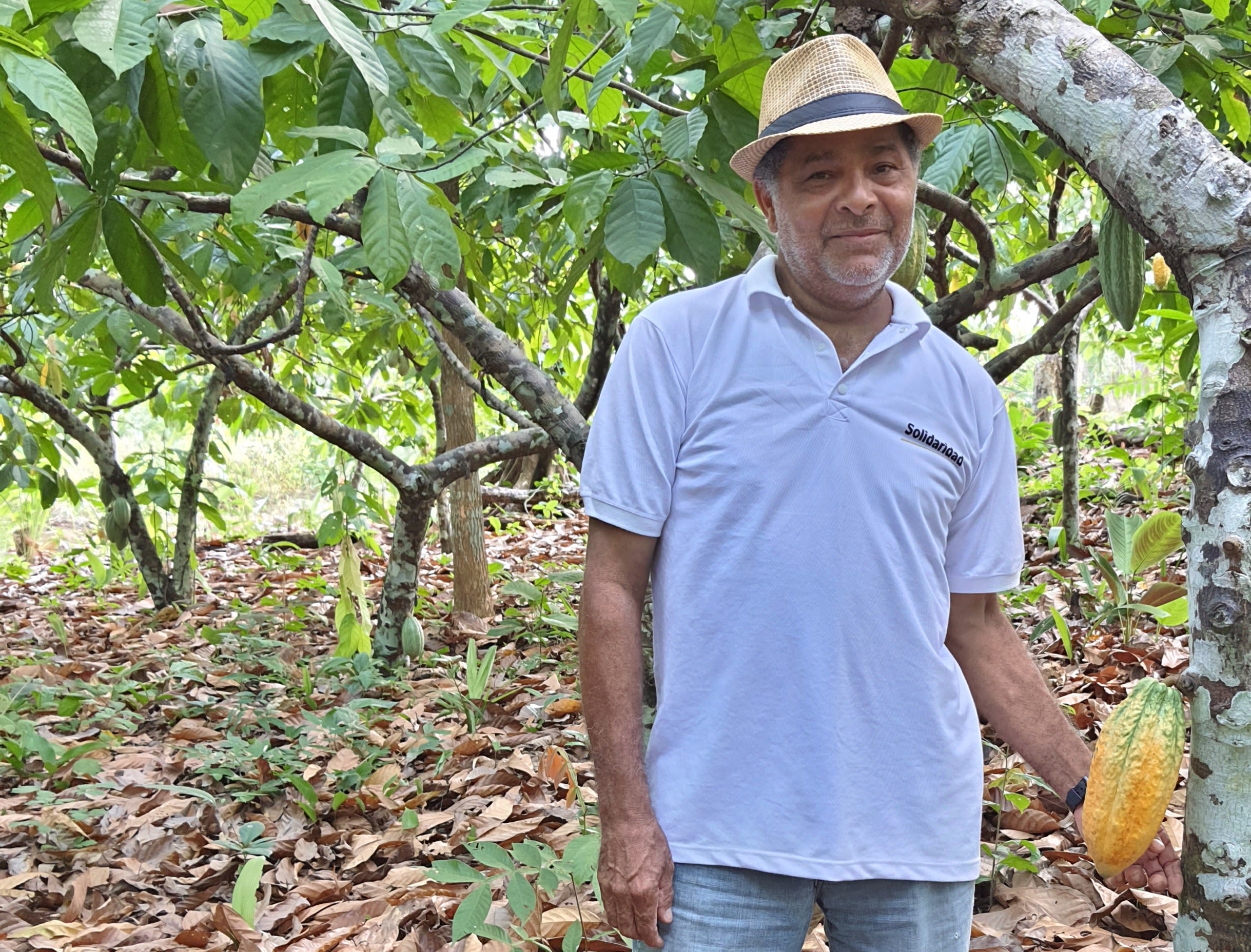 Joao with his cocoa plants