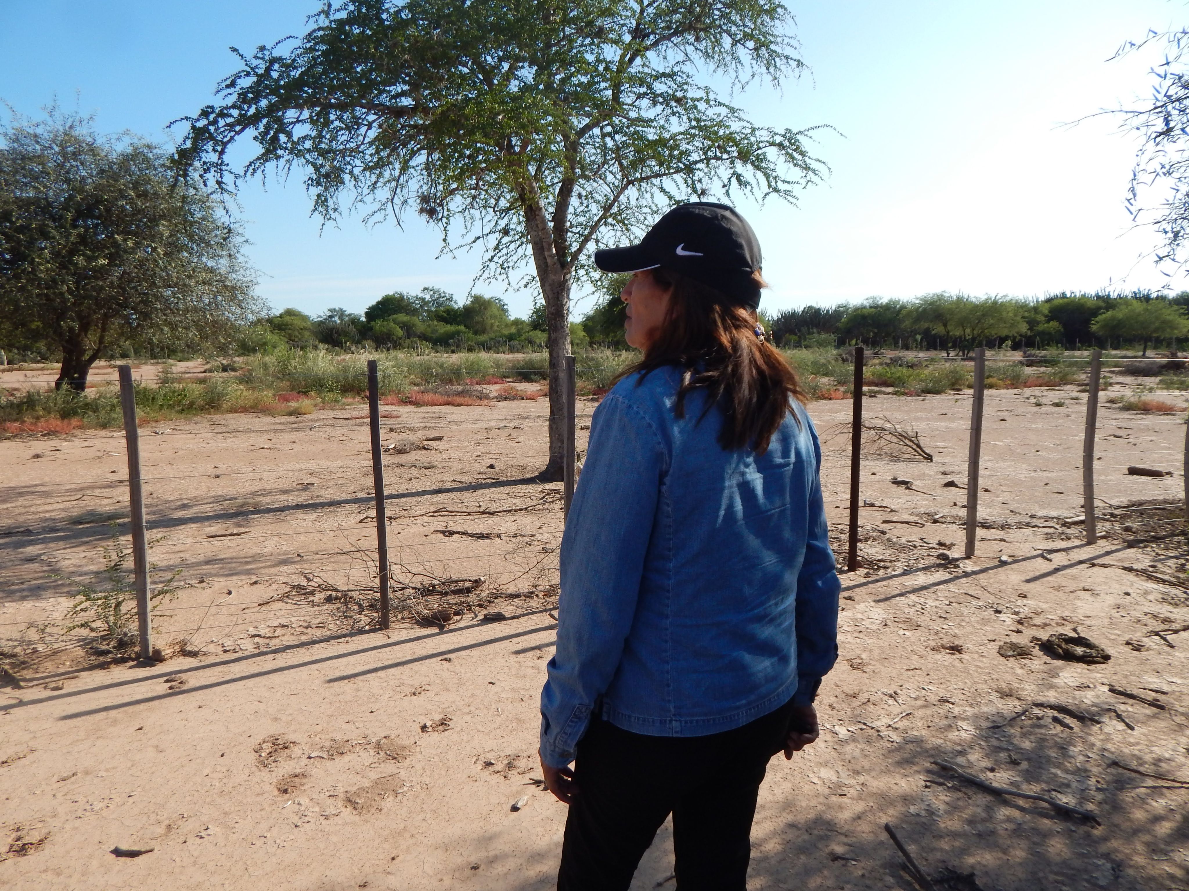 Lucia surveys her land