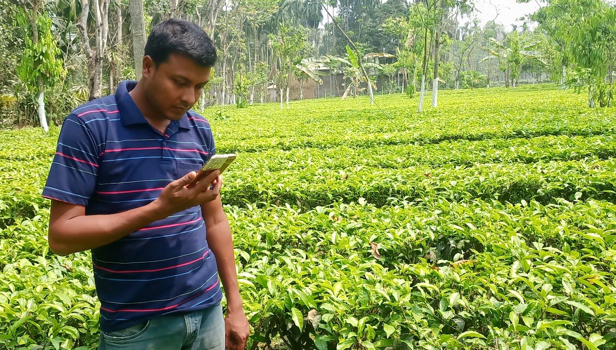 Bibek Sen is a small-scale farmer with a 1.6 acre tea garden in India.