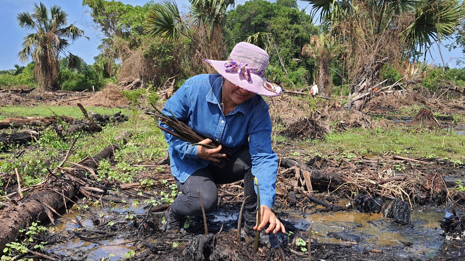 Carmen Gomez planting mangrove