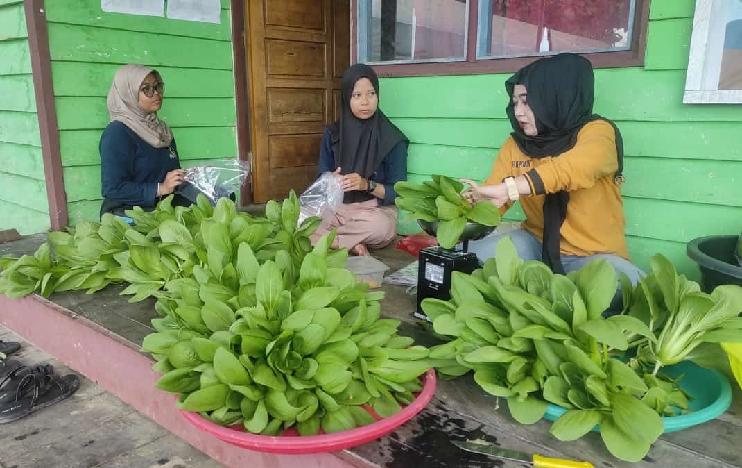 Members of the PKK Nehas Liah Bing packaging and selling their produce at the local community market