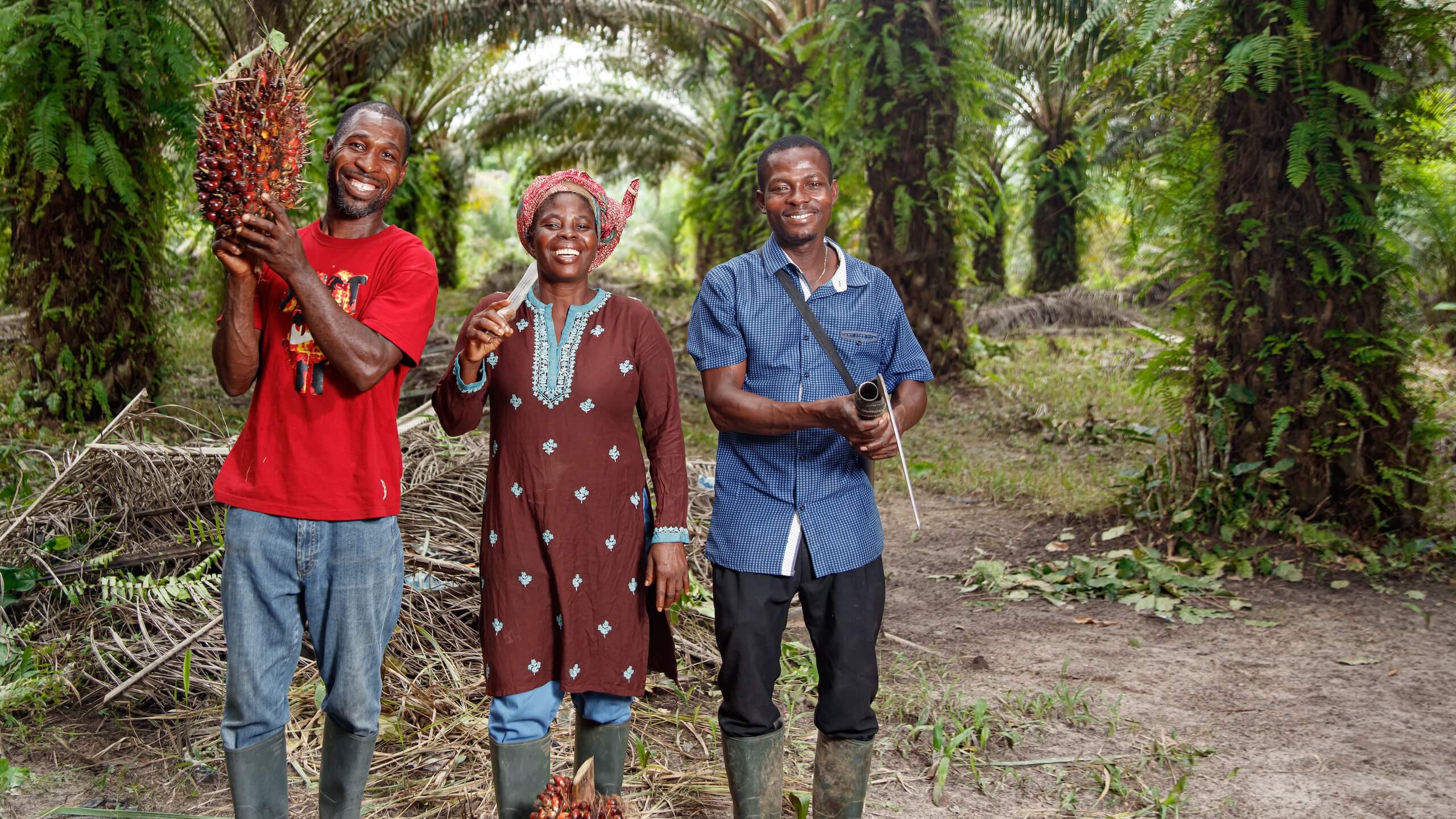 Oil palm smallholders in Ghana
