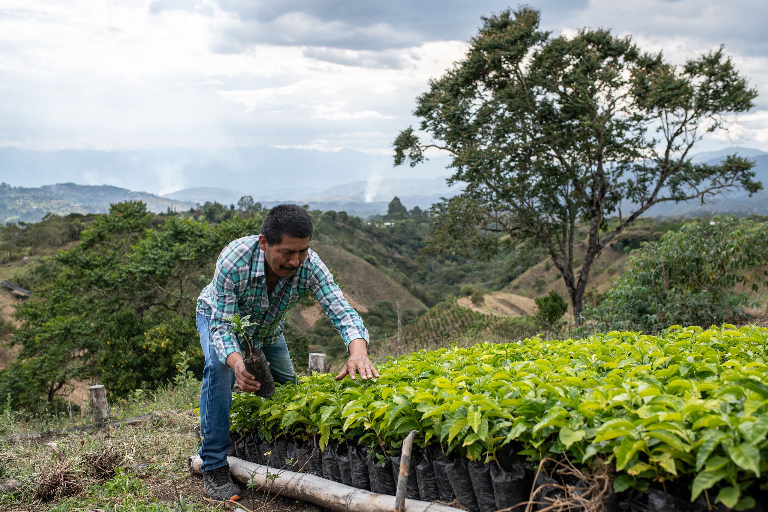 man in white shirt and black pants riding on brown boat on green grass field during