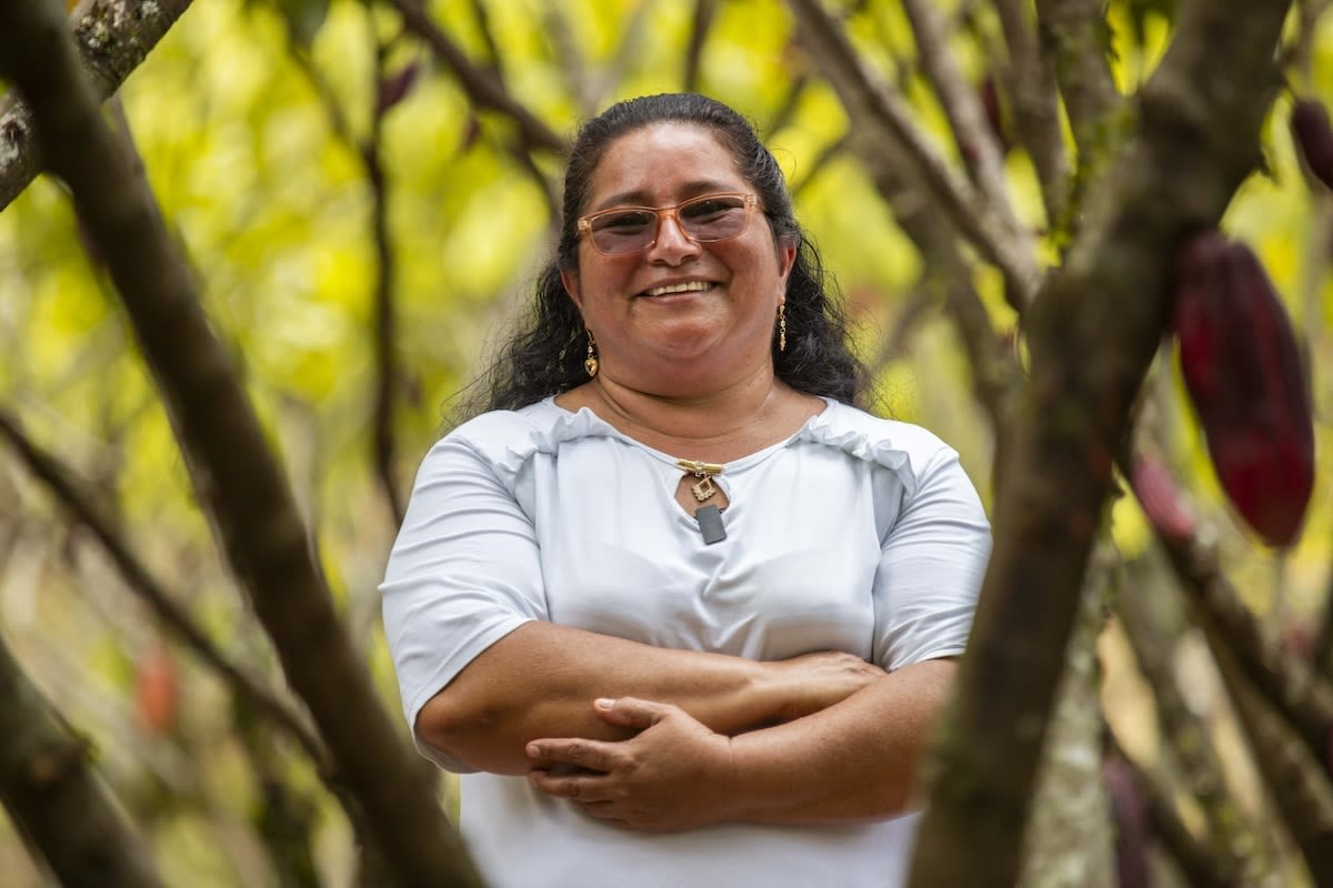 João Rios, Cocoa Farmer in Brazil