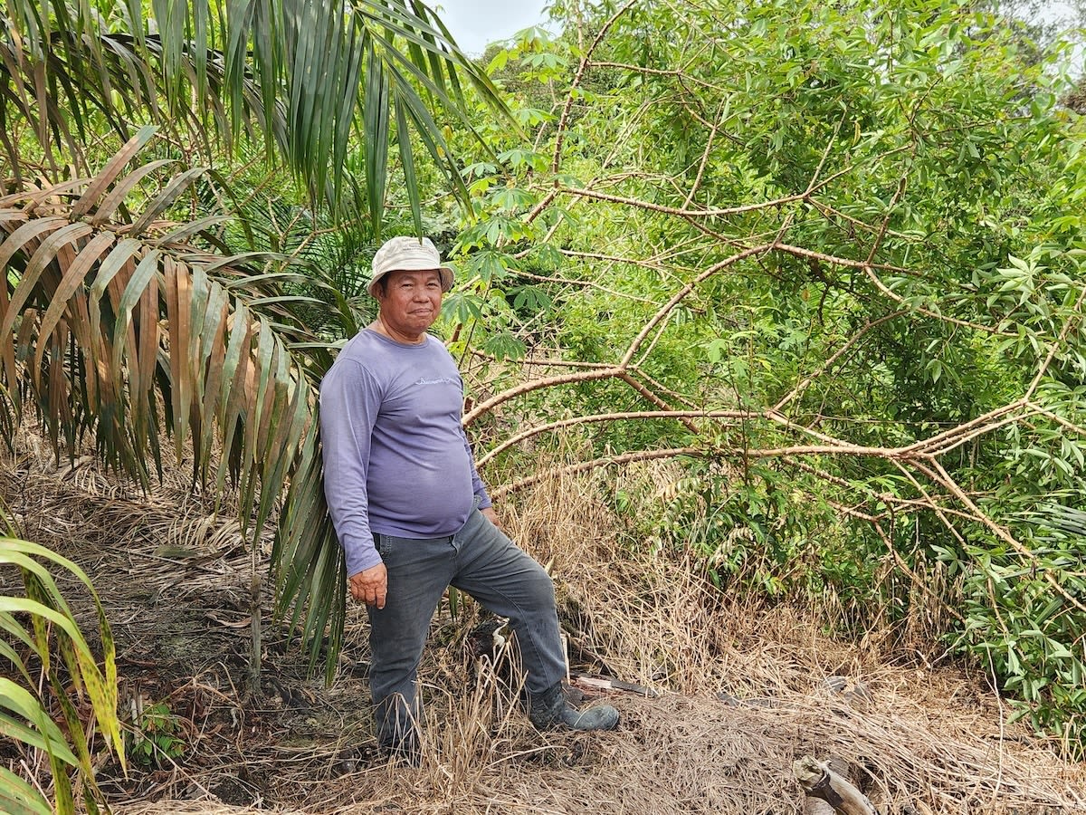 Mary Wairimu Oloo, coffee farmer in Kenya